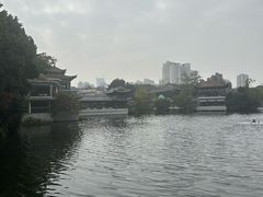 -荔湾湖公园