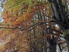 -东钱湖旅游度假区