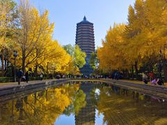 -玲珑塔公园