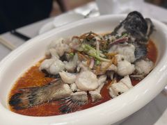 -滋粥楼·顺德菜(番禺广场总店)