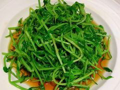 酒香炒豆苗-老头儿油爆虾·知味杭州(爱琴海购物中心)
