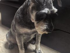 -天宠宠物医院24小时·急重症诊疗中心·全科·腔镜特色(和平分院)