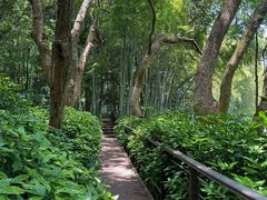 -杭州植物园