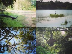 -班达拉奈克国际机场