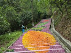 -分塔山省级森林公园