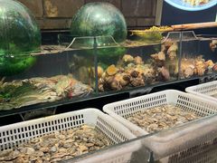 -日丰园海肠水饺·老字号大连海鲜(和平广场店)