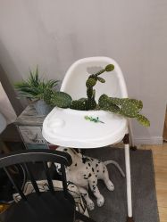 点击看大图 -娃娃拍儿童摄影(柳巷店)