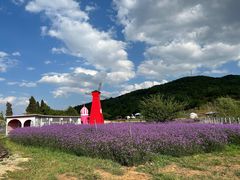 -名花谷生态庄园