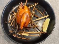 乳鸽-韩上楼