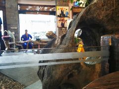 -御膳粥·牛乳粥底火锅·地道顺德菜(容桂店)