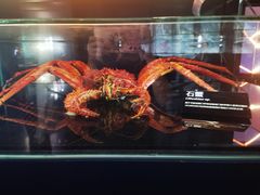 -同济大学四平路校区深海探索馆