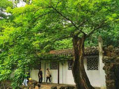 -西园戒幢律寺