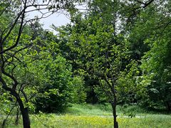 -国家植物园南园