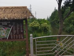 -上海长兴岛郊野公园