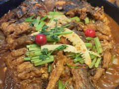 -老板恋上鱼(恒隆广场店)