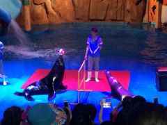 -烟台海昌鲸鲨海洋公园