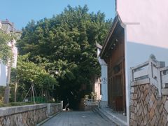 -乌山风景区