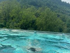 -花水湾第一村温泉大酒店