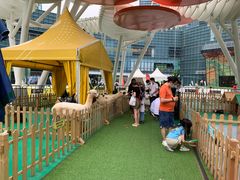 -大族广场Mall&More