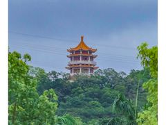 -紫马岭公园