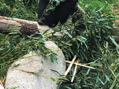 -青藏高原野生动物园