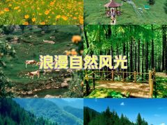 -驼梁风景区