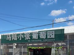 -马陆小张葡萄园农家乐