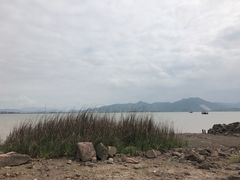 -蛇蟠岛