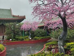 -珠海圆明新园