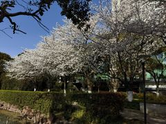 -昆山城市公园