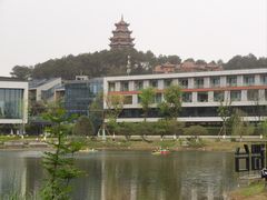 -铁山坪森林公园