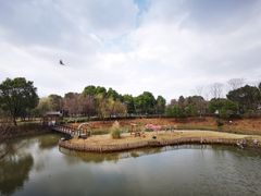 -无锡动物园·太湖欢乐园