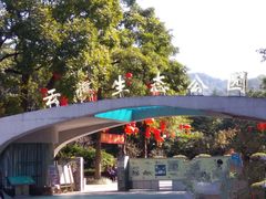-云溪植物园