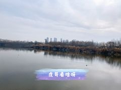 -西安浐灞国家湿地公园