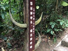 -西双版纳基诺山寨