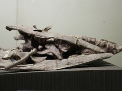 -世界恐龙谷景区