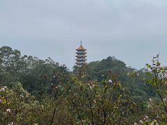 -白云山风景名胜区