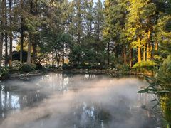 -浙江西子宾馆·瑶园咖啡厅