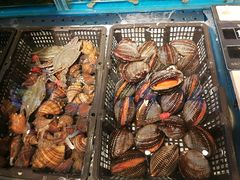 -苏大嘴海鲜牧场(奥林匹克店)