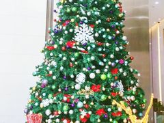 -炭舍干锅(华发商都店)