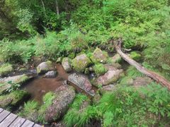 -五营国家森林公园