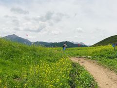 -扁都口生态休闲旅游区