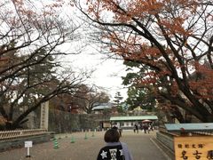 -名古屋城