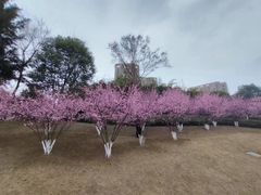 -沐仙湖湿地公园