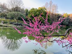 -杭州植物园