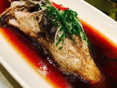 -骏莱海鲜鱼港(五角场店)