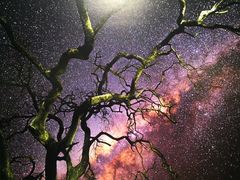 -罗红摄影艺术馆