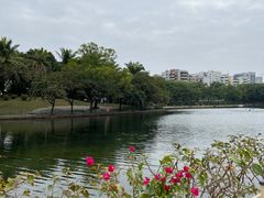 -深圳龙潭公园