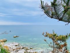 -养马岛旅游度假区