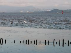 -深圳湾公园(南山区)